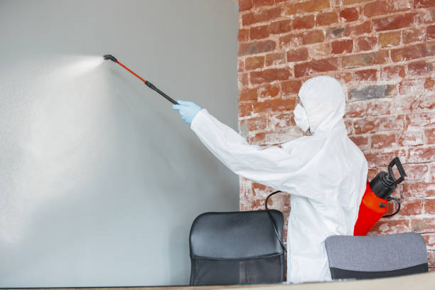 Environmental Consulting for Mold Prevention in New Bedford, PA